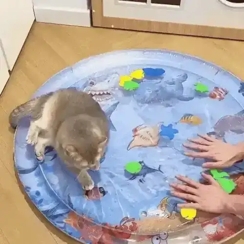 MeowBow Sensory Mat with happy puppy lying on top
