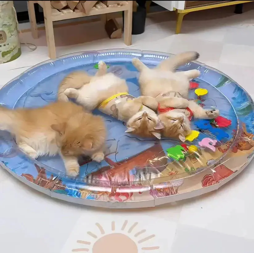 A cat and dog sharing the MeowBow mat together